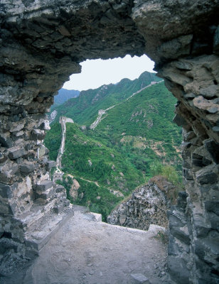 The Great (Wild) Wall