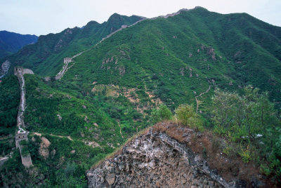 The Great (Wild) Wall
