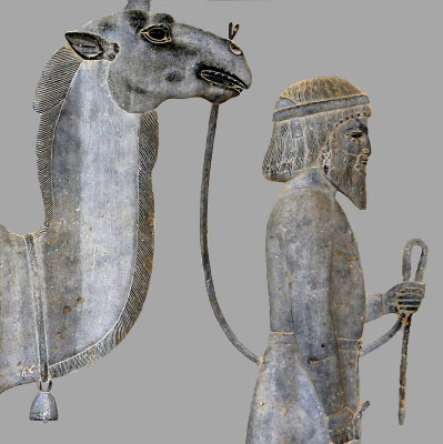 Parthian bringing a Camel, Apadana Staircase, Persepolis