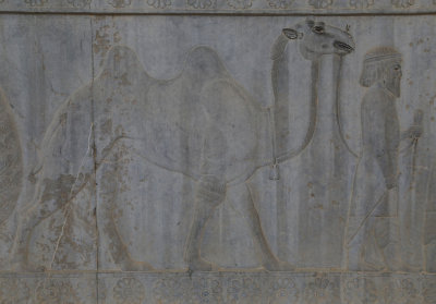 Original Image - Parthian bringing a Camel, Apadana Staircase, Persepolis