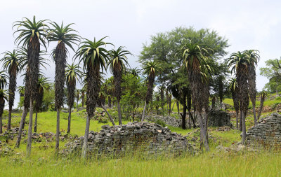 Great Zimbabwe Ruins