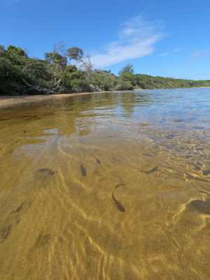 Kosi Bay, Isimangaliso Wetland Park, Kwazulu-Natal