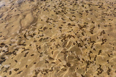 Kosi Bay, Isimangaliso Wetland Park, Kwazulu-Natal