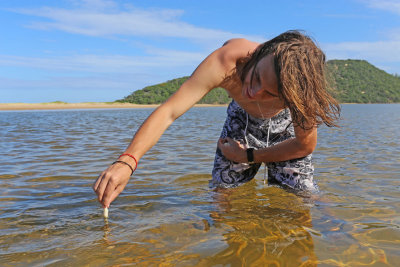 Feeding the fish, Kosi Bay, Isimangaliso Wetland Park, Kwazulu-Natal