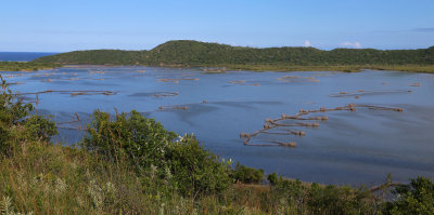 Kosi Bay, Isimangaliso Wetland Park, Kwazulu-Natal