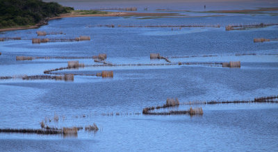 Kosi Bay, Isimangaliso Wetland Park, Kwazulu-Natal