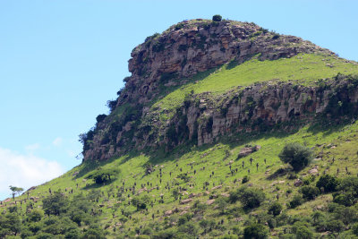 The masiff at Isandlwana