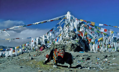 Kamba La Pass, Tibet