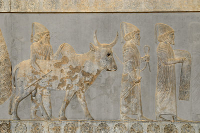 Babylonians, Apadana Staircase, Persepolis
