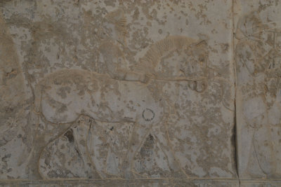 Amyrgians  Scythians (Sogdians), Apadana Staircase, Persepolis - Original