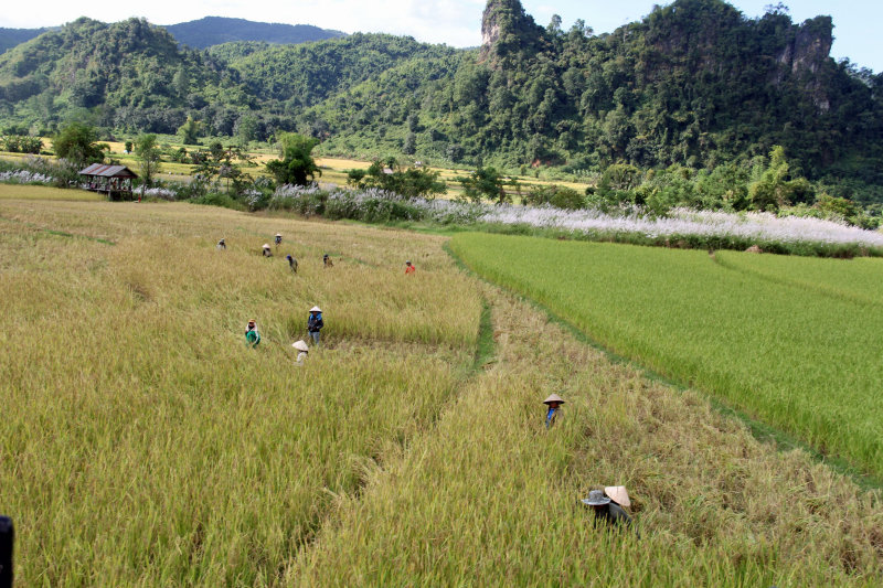 Cambodia