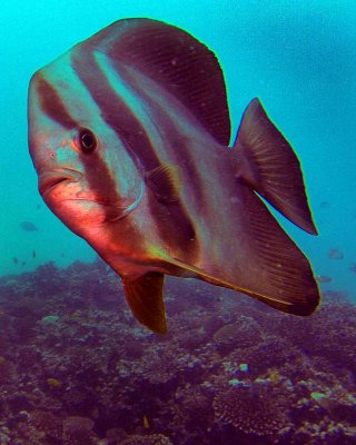 2013_09_30_G23519_4x6.jpg