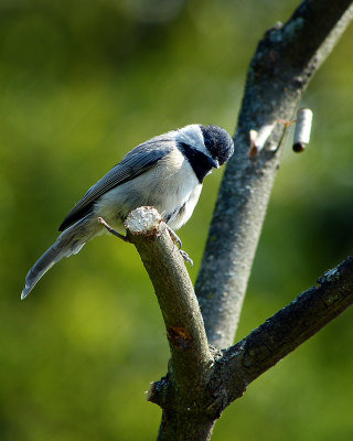 P1200090.jpg