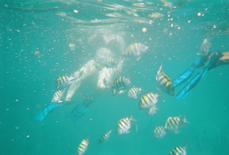 Snorkeling, Grenada
