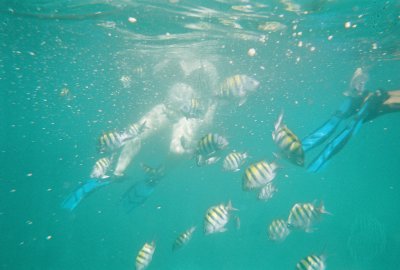 Snorkeling, Grenada