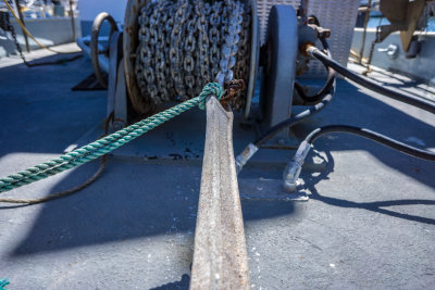 NEX7__DSC1944.jpg