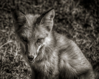 g9/73/34073/3/162265264.b3iV4ZTB.jpg