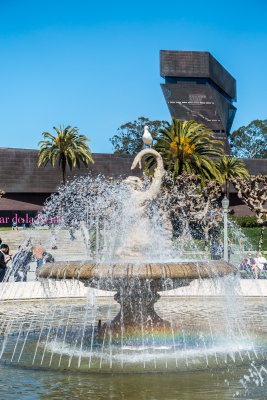 California Academy of Science at SF Golden Gate Park