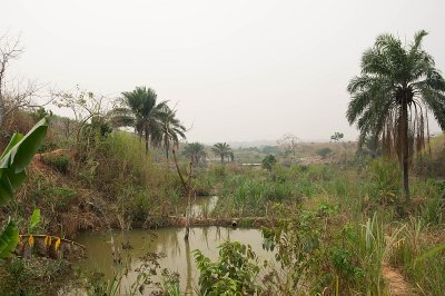 IMGP4436.jpg