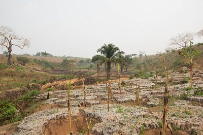 IMGP4443.jpg