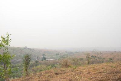 IMGP4454.jpg