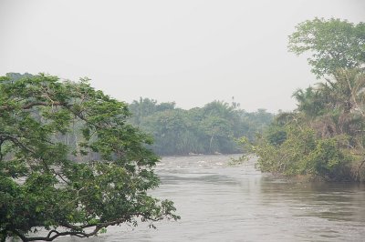 IMGP4491.jpg