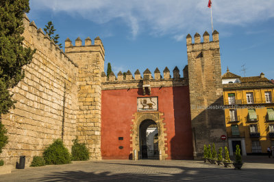 The Real Alcazar