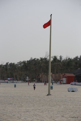 IMG_9901.JPG