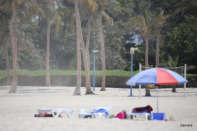 Sand Storm on the Beach