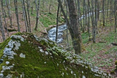 Stream Running Behind Large Layered Stone tb0513fnx.jpg