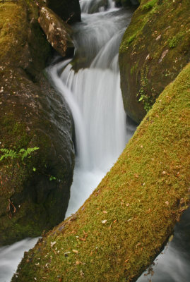 Cascading Brook Twisting thru Steep Mtn Valley v tb0513gnx.jpg