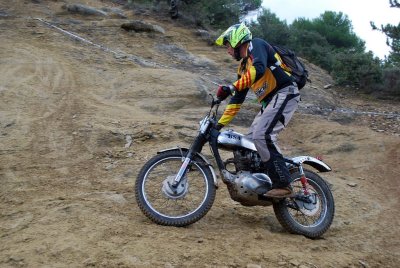DSC_7250kl.JPG