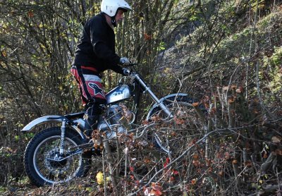 DSC_8393kl.JPG