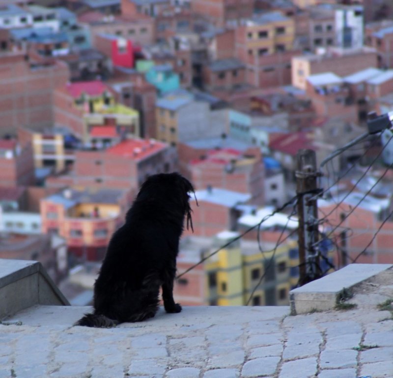 La ciudad, a mis pies