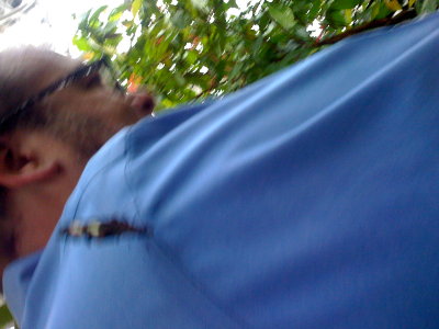 g9/73/552173/3/152439725.C6wCaGwl.jpg