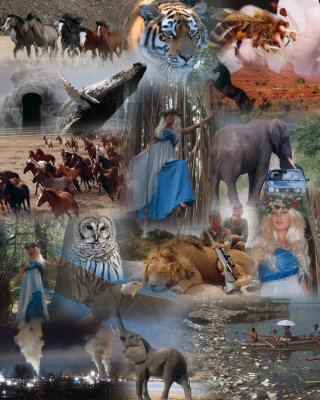 Share the Kingdom collage