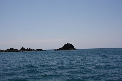 Raya and Coral Island34.jpg