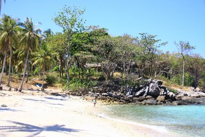 Raya and Coral Island57.jpg