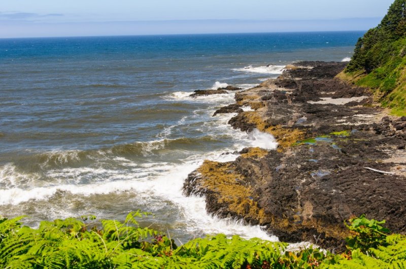 Cape Perpetua