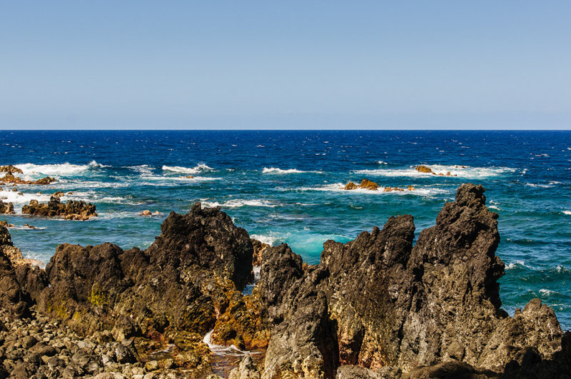 DSC_1026.jpg
