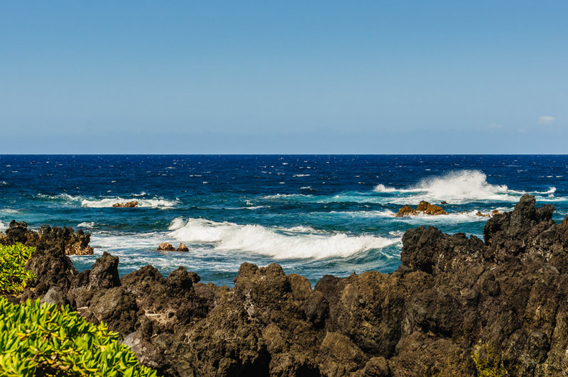 DSC_1032.jpg