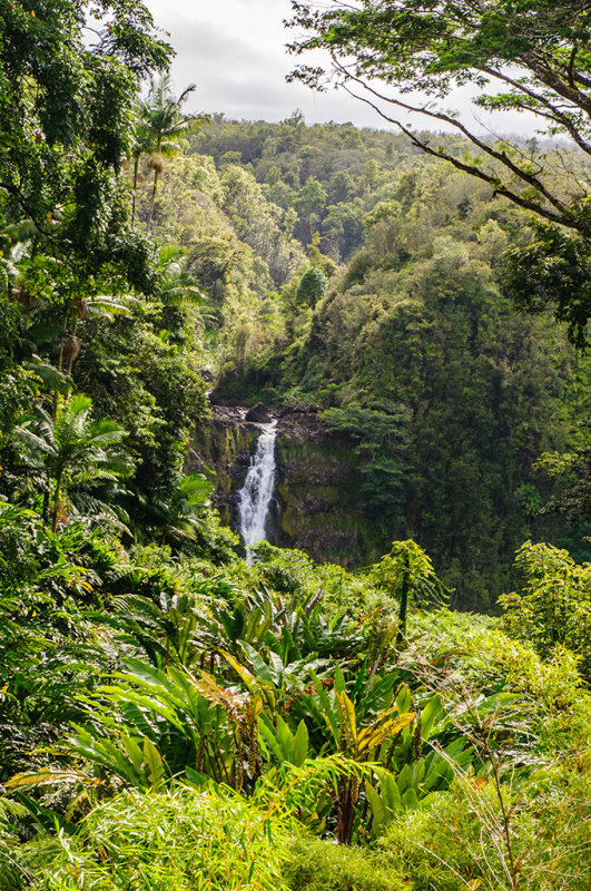 Akaka Falls