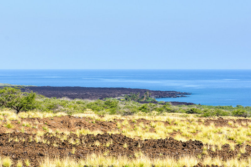 DSC_1090.jpg