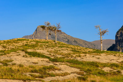 DSC_3792.JPG