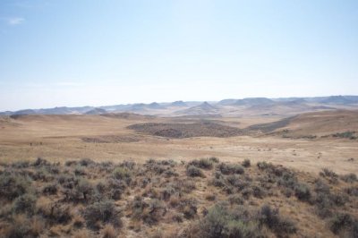 _DSC7519.jpg