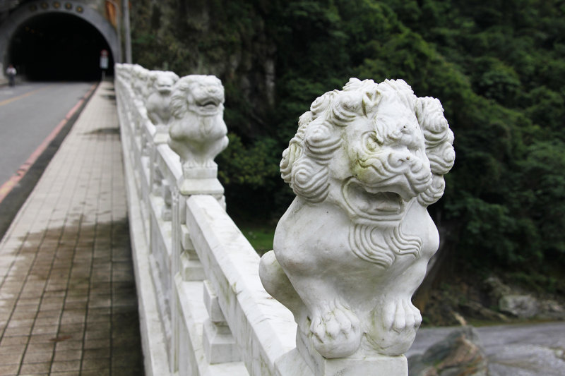 All of the lions have a lot personality.
