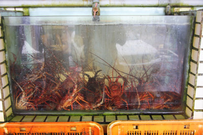 Lobster tank from a nearby seafood restaurant.