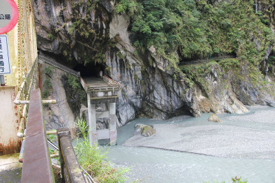 View from the bridge.  On the platform ahead were some Buddhist statues.