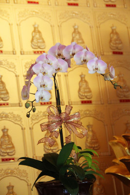 View of the orchid next to the statue.