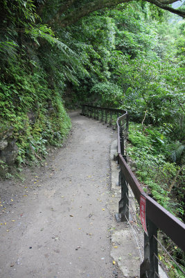 There was a lot of lush foliage along the Shakadang Trail.